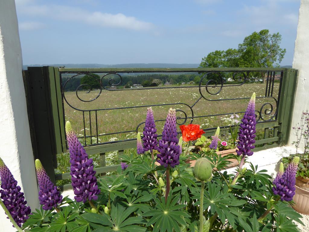 Dean Valley Panorama Bed & Breakfast Lydney Exterior photo